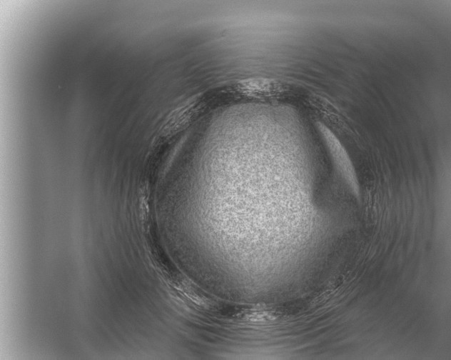 X0000058120702200510071939