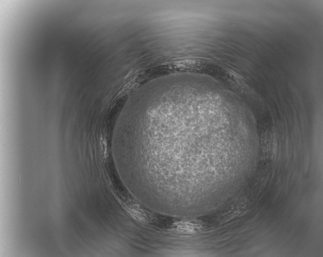 X0000058120703200510071939