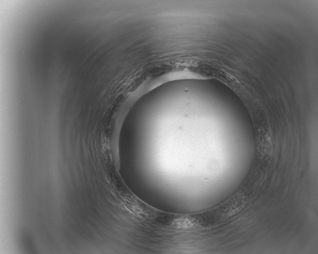 X0000058120704200510071939