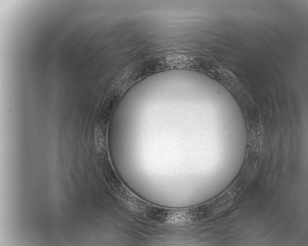 X0000058120705200510071939