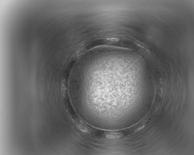 X0000058120707200510071939