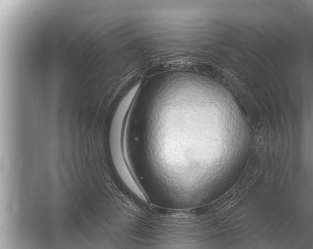 X0000058120708200510071939