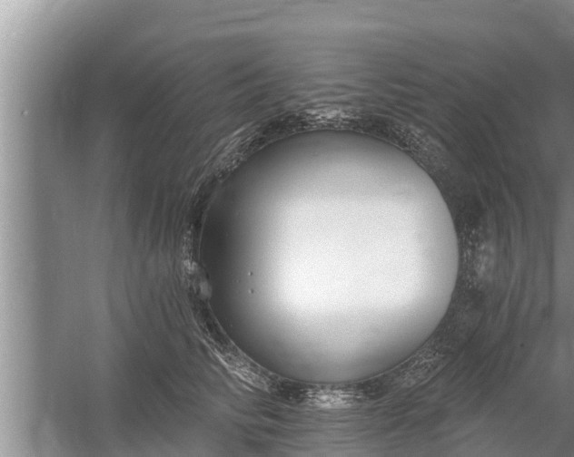 X0000058120710200510071939