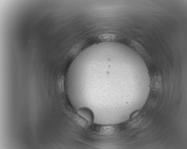 X0000058120717200510071939