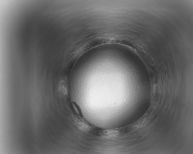 X0000058120719200510071939