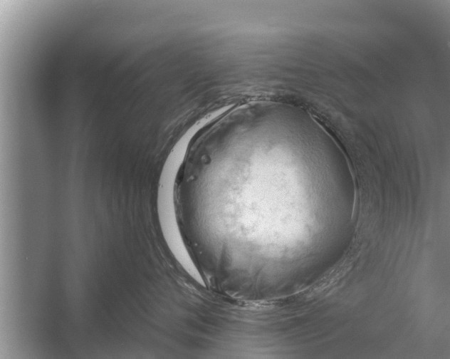 X0000058120720200510071939