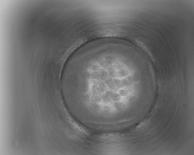 X0000058120721200510071938