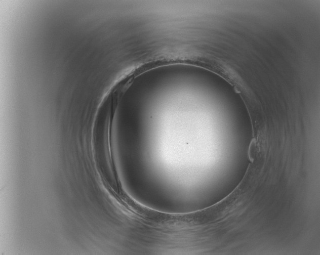 X0000058120722200510071938