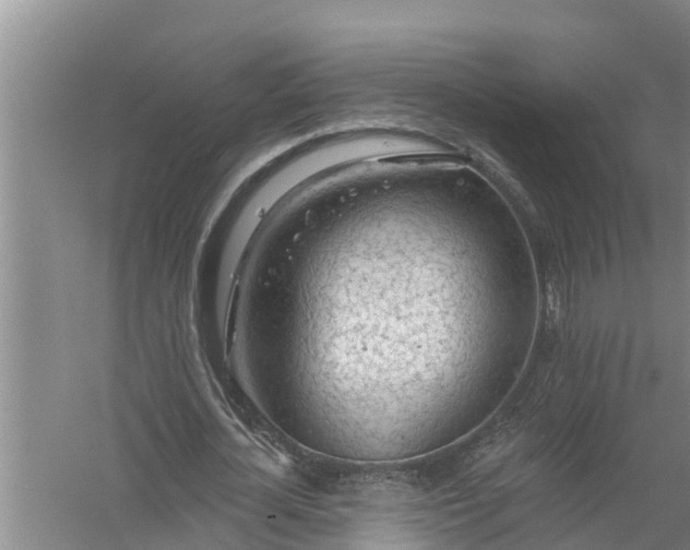 X0000058120724200510071938