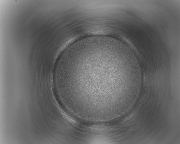 X0000058120725200510071938