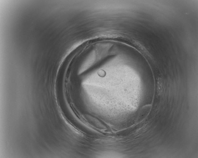 X0000058120726200510071938