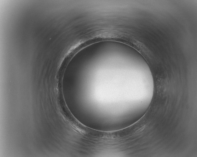 X0000058120727200510071938