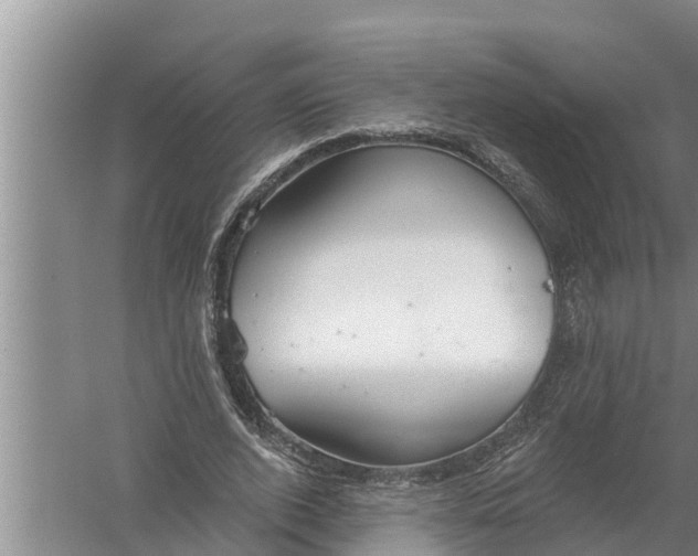 X0000058120728200510071938