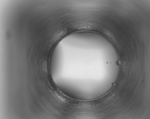 X0000058120729200510071938