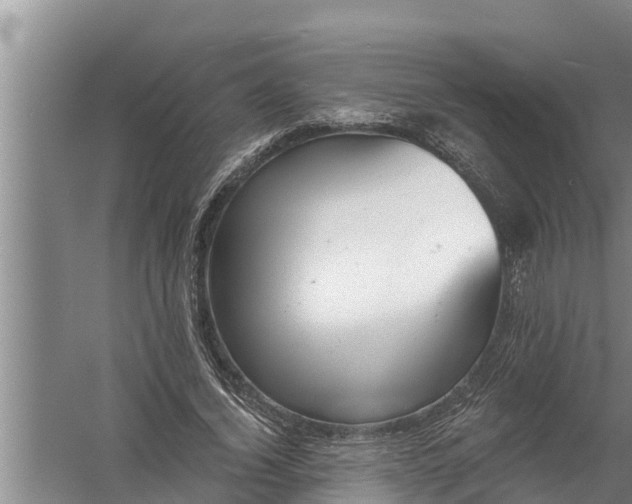 X0000058120732200510071938