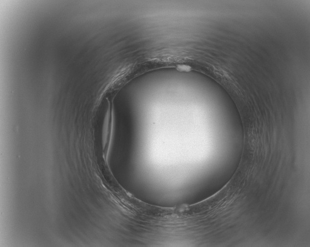 X0000058120735200510071938