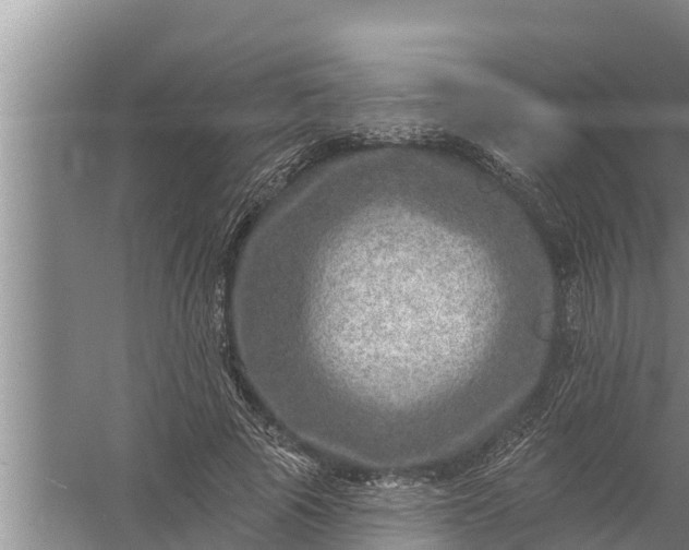 X0000058120737200510071938