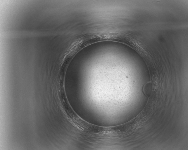 X0000058120738200510071938