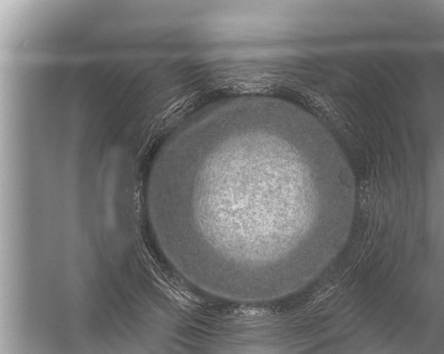 X0000058120741200510071939