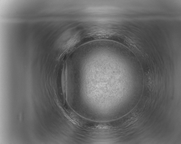 X0000058120742200510071939