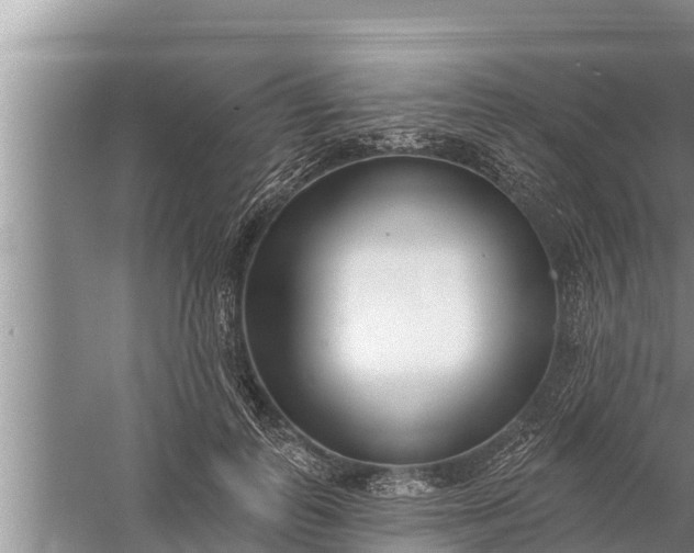 X0000058120747200510071939