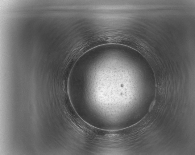 X0000058120748200510071939