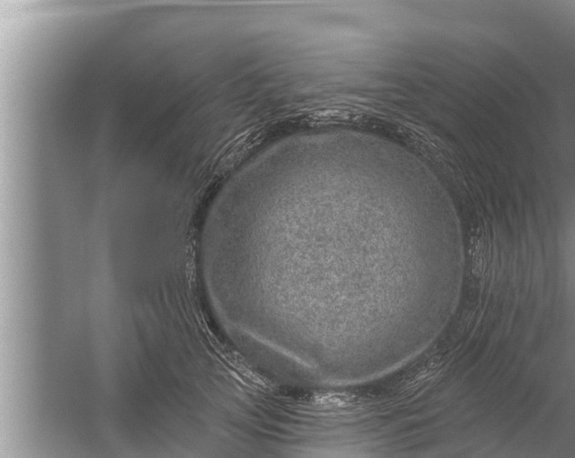 X0000058120753200510071939