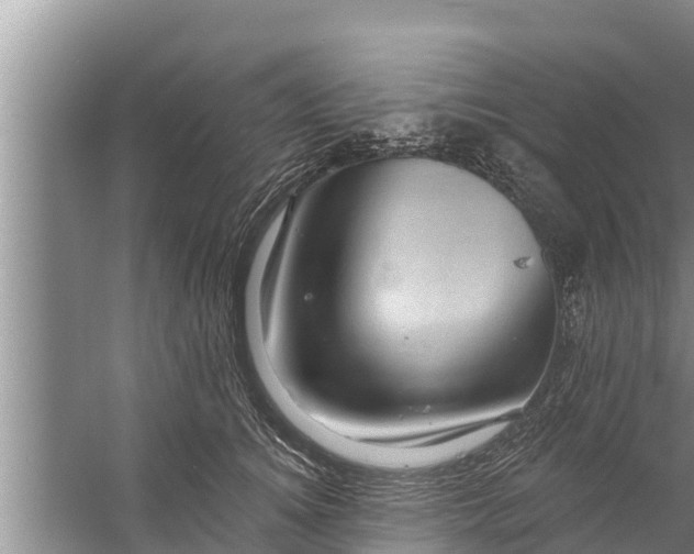 X0000058120756200510071939