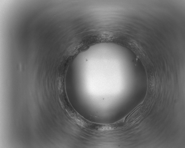 X0000058120759200510071939