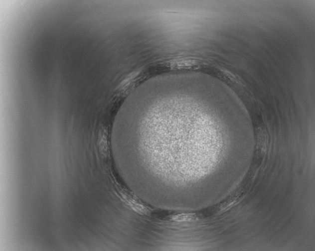 X0000058120761200510071939