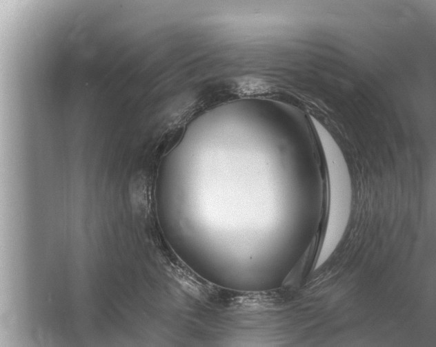 X0000058120763200510071939