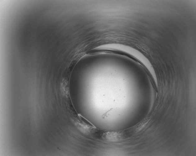 X0000058120766200510071939