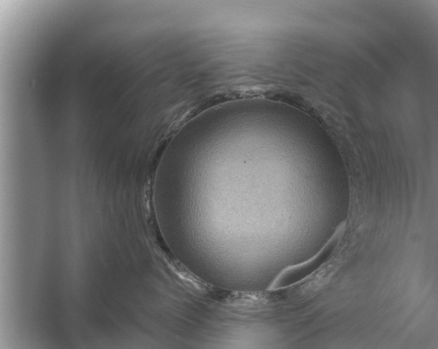 X0000058120768200510071939