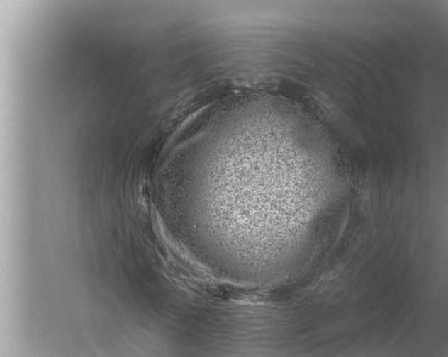 X0000058120770200510071938