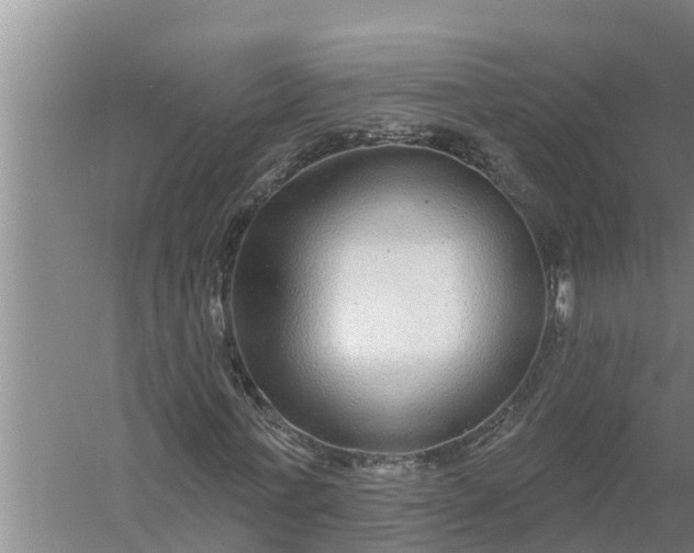 X0000058120771200510071938