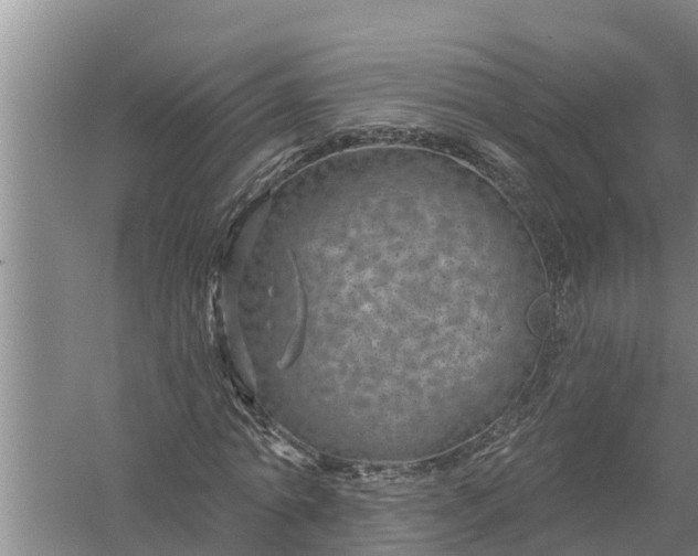 X0000058120774200510071938