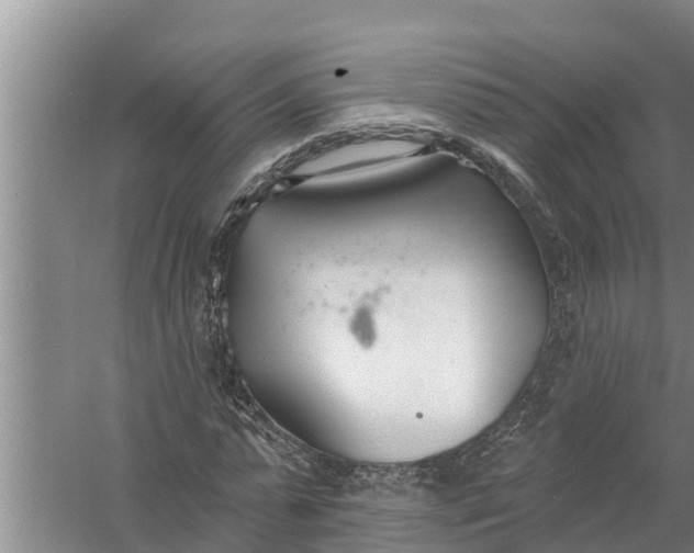 X0000058120775200510071938