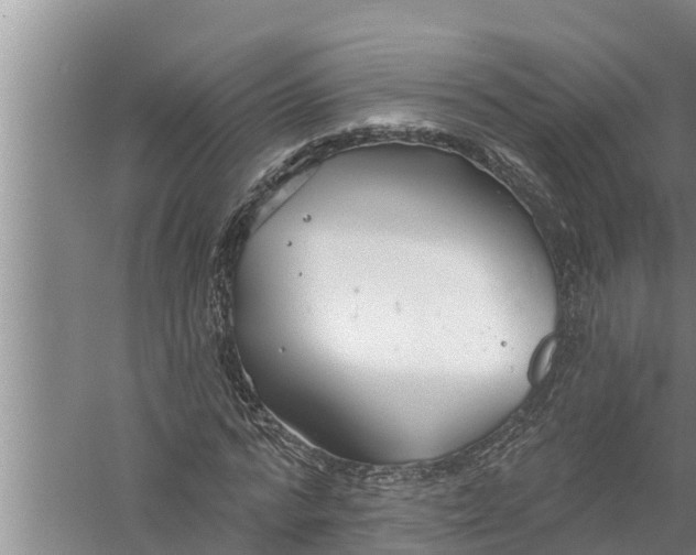 X0000058120776200510071938