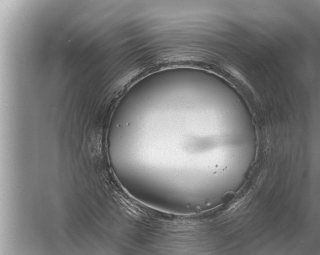 X0000058120777200510071938