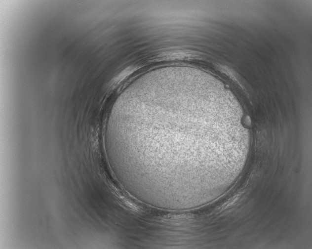 X0000058120778200510071938