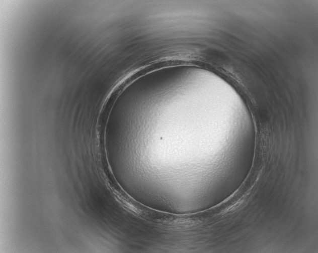 X0000058120779200510071938