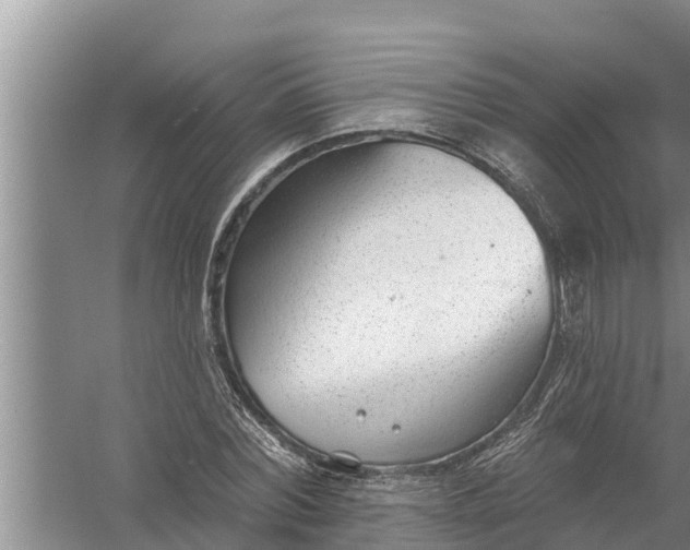 X0000058120780200510071938