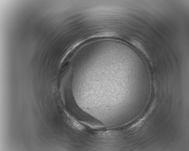 X0000058120781200510071938