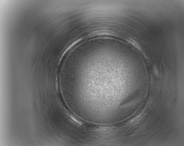 X0000058120782200510071938