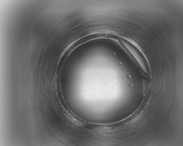 X0000058120783200510071938