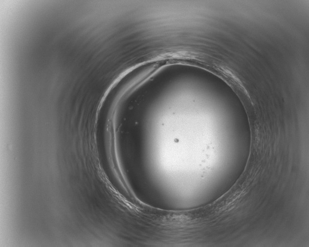 X0000058120784200510071938