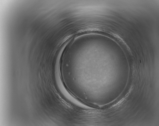 X0000058120785200510071938