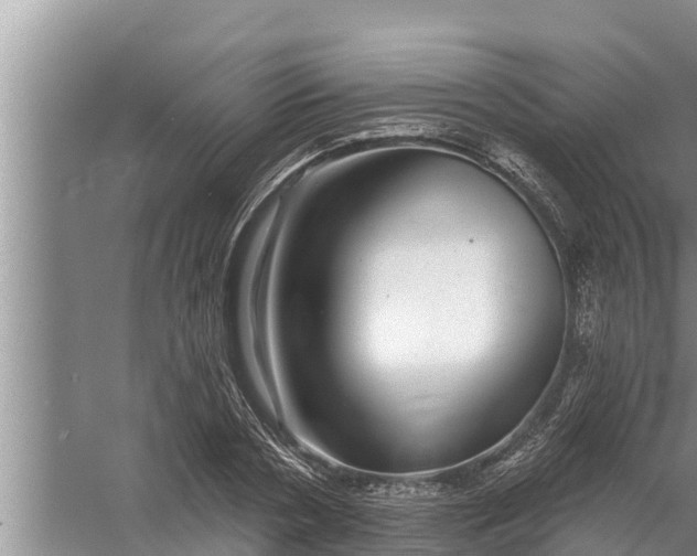 X0000058120786200510071938