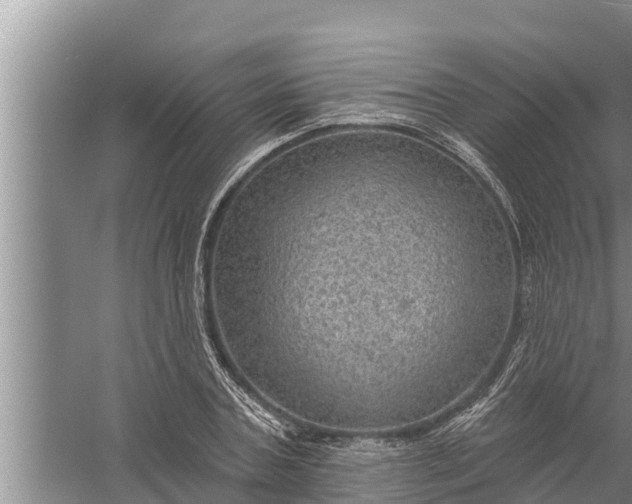 X0000058120787200510071938