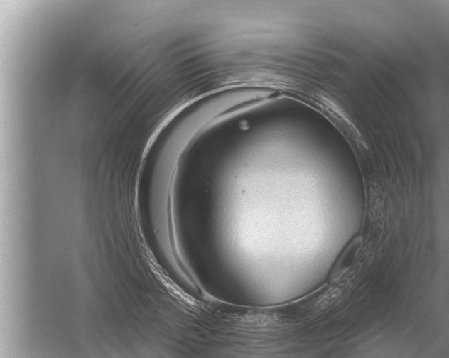 X0000058120788200510071938